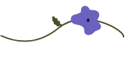 Grafismo